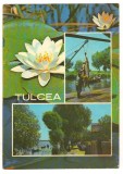 CPI B 10604 CARTE POSTALA - TULCEA, MOZAIC. NUFAR, PESTE, BARCI, Circulata, Fotografie