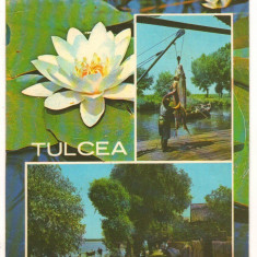 CPI B 10604 CARTE POSTALA - TULCEA, MOZAIC. NUFAR, PESTE, BARCI