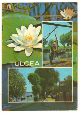 CPI B 10604 CARTE POSTALA - TULCEA, MOZAIC. NUFAR, PESTE, BARCI foto