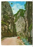 CPI B 10671 CARTE POSTALA - JUD. ARGES. CHEILE DAMBOVICIOAREI, Circulata, Fotografie