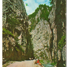 CPI B 10671 CARTE POSTALA - JUD. ARGES. CHEILE DAMBOVICIOAREI