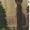 CPI B 10672 CARTE POSTALA - TIMISOARA. STATUIA &quot;LUPOAICA ROMEI&quot;