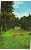 CPI B 10683 CARTE POSTALA - MUNTII BUCEGI - CABANA &quot;POIANA STANII&quot;