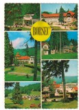 CPI B 10667 CARTE POSTALA - BORSEC, DANTELATA