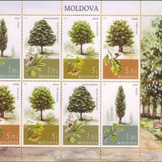 MOLDOVA 2018, Flora, Arbori, bloc, MNH