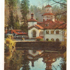 CPI B 10676 CARTE POSTALA - SINAIA. "FOISORUL", RPR