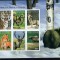 COMORES 1999 FAUNA ANIMALE SALBATICE NEDANTELAT