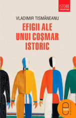 Efigii ale unui cosmar istoric (eBook) foto