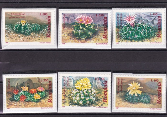 ROMANIA 1997 LP 1433 CACTUSI SERIE MNH ROMANIA 1997 LP 1433 CACTUSI SERIE MNH