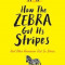 How the Zebra Got its Stripes, Paperback