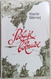 Cumpara ieftin VASILE GARNET - PEISAJE BOLNAVE (POEME) [CHISINAU, 1990 / cu erori tipografice]