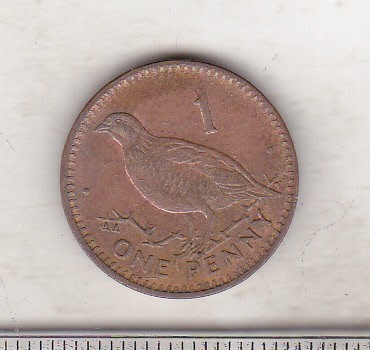 bnk mnd Gibraltar 1 penny 2000 , pasare foto