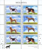 MOLDOVA 2006, Fauna, Caini, serie neuzata, MNH