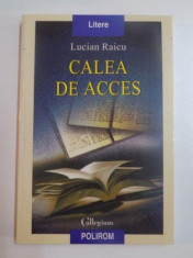 CALEA DE ACCES de LUCIAN RAICU , 2004 foto