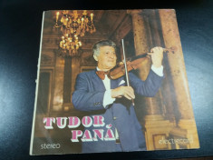 VINIL TUDOR PANA foto