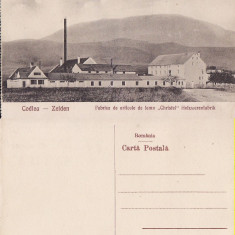 Codlea, Zeiden ( Brasov) - Fabrica de articole de lemn Christel- rara