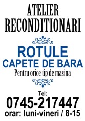 Capete de bara,rotule,pivoti - Reconditionari