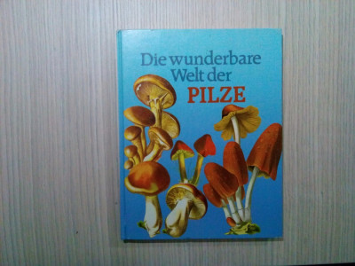 Die Wunderbare Welt der PILZE - Gianni Gozzi - Gondrom Verlag, 1987, 126 p. foto