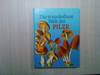 Die Wunderbare Welt der PILZE - Gianni Gozzi - Gondrom Verlag, 1987, 126 p. foto