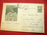 Carte Postala ilustrata -Pastravi din Lacul Zanoaga ,cod 303/1964, Circulata, Printata