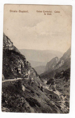 SINAIA BUSTENI CALEA LA IMAN VALEA CERBULUI foto