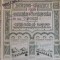 ACTIUNI - SOC. COMUNALA PTR. CONSTR. DE LOCUINTE IEFTINE BUC - 1000 LEI - 1921