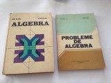 ALGEBRA /PROBLEME DE ALGEBRA- ION D. ION-RF12/1