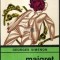 Georges Simenon - Maigret si hoțul leneș