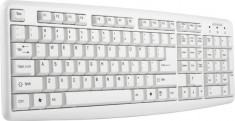 Tastatura k-1013 activejet ps/2 white Digital Media foto