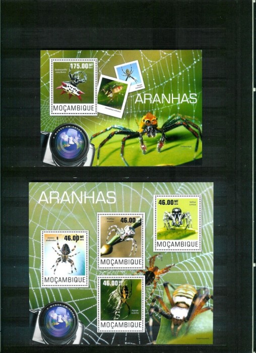 Mozambic 2014 - Fauna - ARAHNIDE - BL + serie (KB) - nestampilate