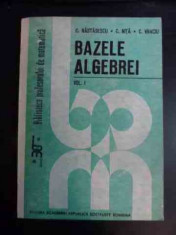 Bazele Algebrei Vol.1 - C.nastasescu C.nita C.vraciu ,542386 foto