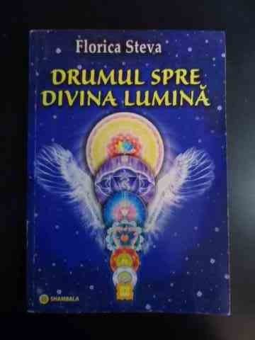 Drumul Spre Lumina - Florica Steva ,542122 Drumul Spre Lumina - Florica Steva ,542122