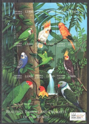 SIERRA LEONE 2000 PASARI PAPAGALI foto