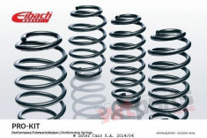 Kit arcuri sport Eibach BMW E90 - VTT-E10-20-014-02-22 foto