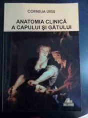 Anatomia Clinica A Capului Si Gatului - Cornelia Ursu ,542044 foto