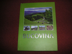 Bucovina - album - Suceava, 2011 foto