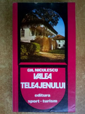 Gh. Niculescu - Valea Teleajenului foto