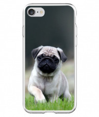 Husa Dog Pug APPLE Iphone 7 foto