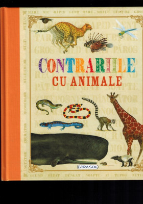 Contrariile cu animale (imagini, raporturi de marime/ greutate etc) foto