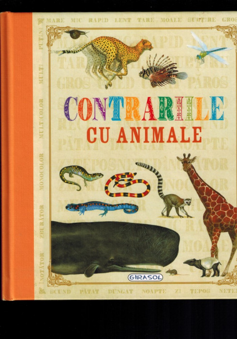 Contrariile cu animale (imagini, raporturi de marime/ greutate etc)