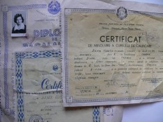 Lot 3 diplome pe acelasi nume
