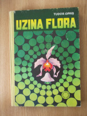 UZINA FLORA- TUDOR OPRIS foto