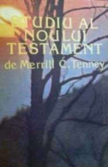 Studiul Noului Testament - Merrill C. Tenney foto