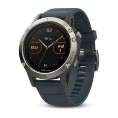 Smartwatch Garmin Fenix 5 Silver / Granite Blue Band foto