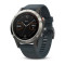 Smartwatch Garmin Fenix 5 Silver / Granite Blue Band