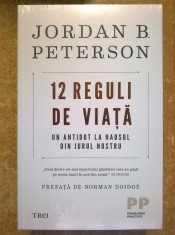 Jordan B. Peterson - 12 reguli de viata foto