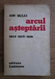 Arcul asteptarii : 1914, 1915, 1916 / Ion Bulei