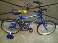 Sky Jumper / Froggy / bicicleta copii 16&amp;quot; (6-8 ani) foto