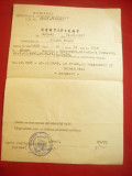 Certificat de participare la al II-lea Razboi Mondial emis de MAN 1997