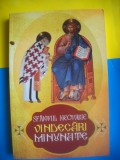 HOPCT SFANTUL NECTARIE / VINDECARI MINUMATE 2013 - 325 PAGINI